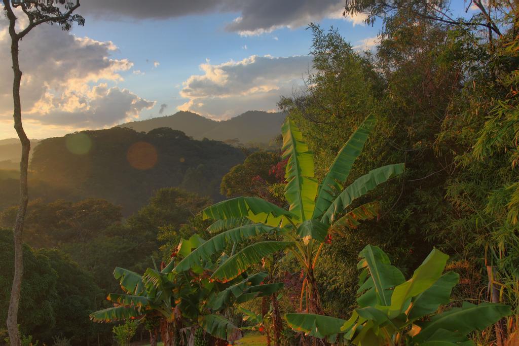 Pousada Coracao Verde Miguel Pereira Bagian luar foto